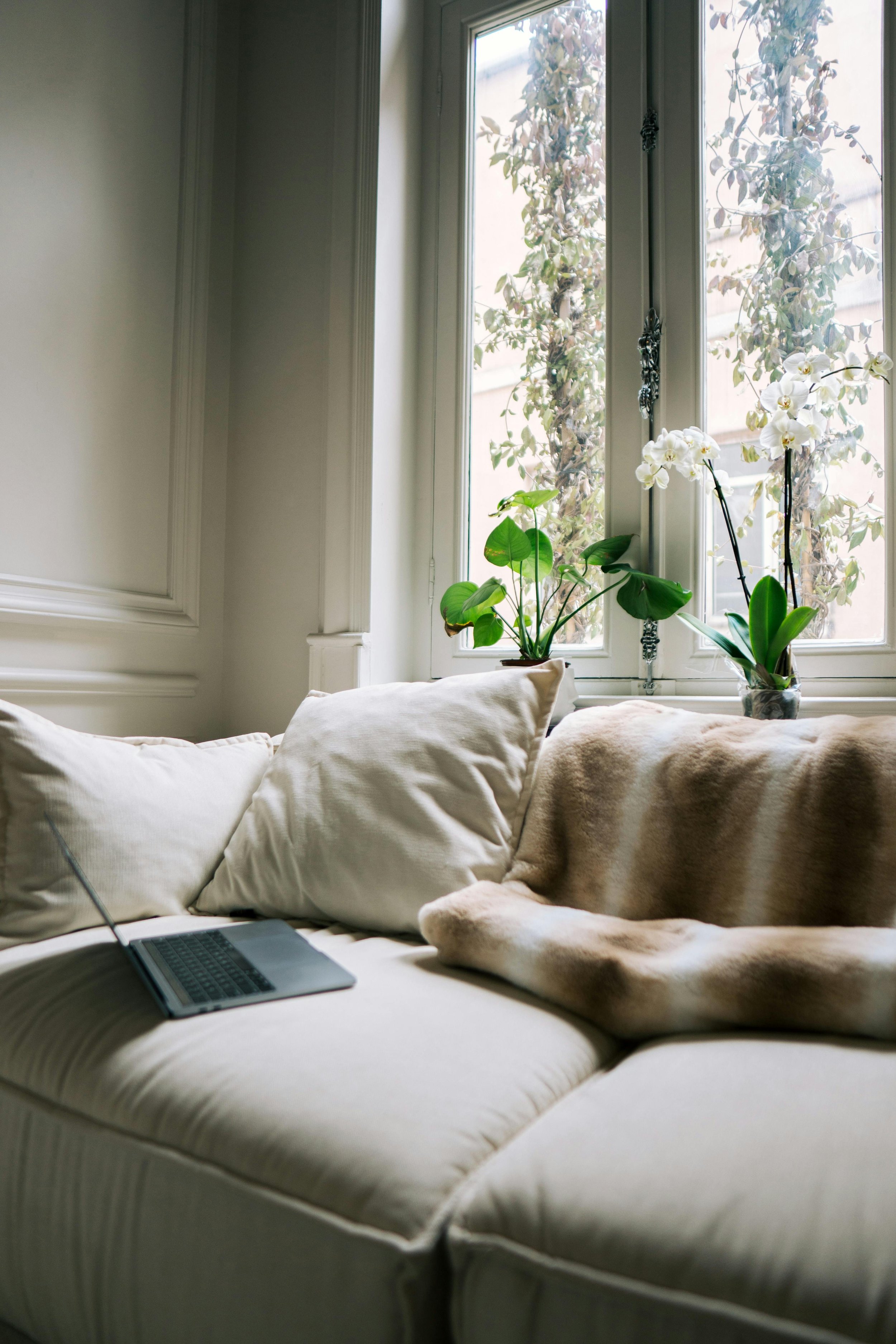 Open laptop on a cozy living room couch with natural light, representing virtual EMDR and trauma therapy from a comfortable space through Healthy Mind, Healthy Heart's Matched Care Framework