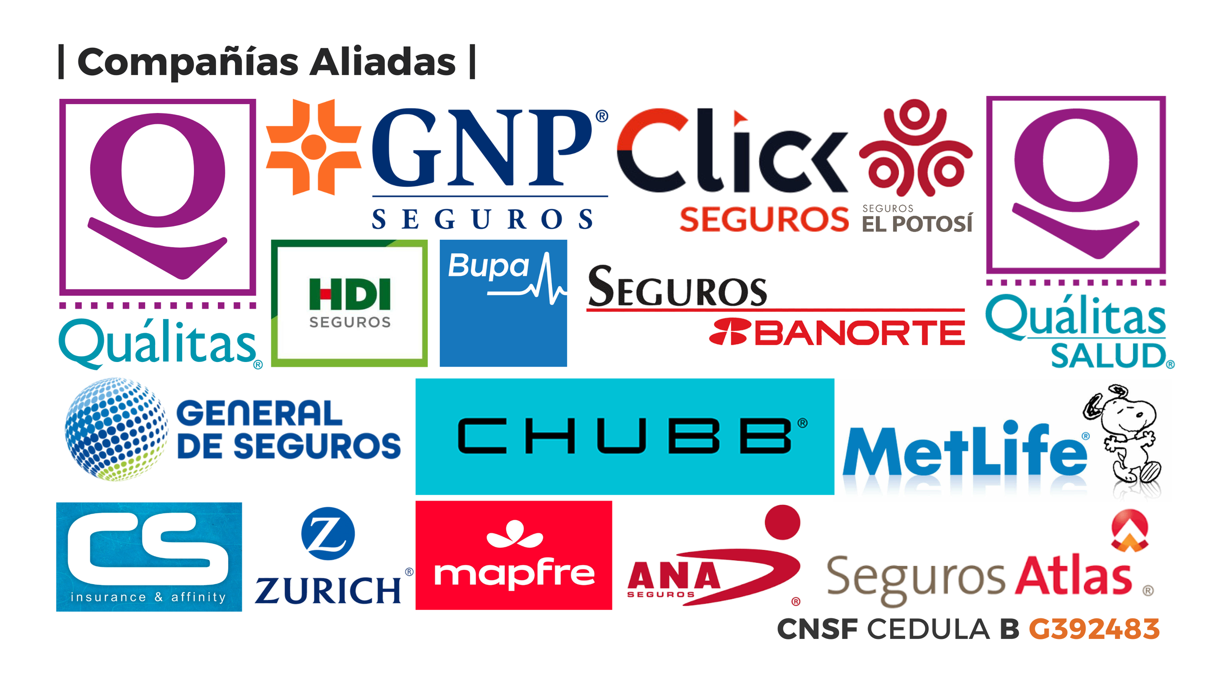 Amigos Comerciales