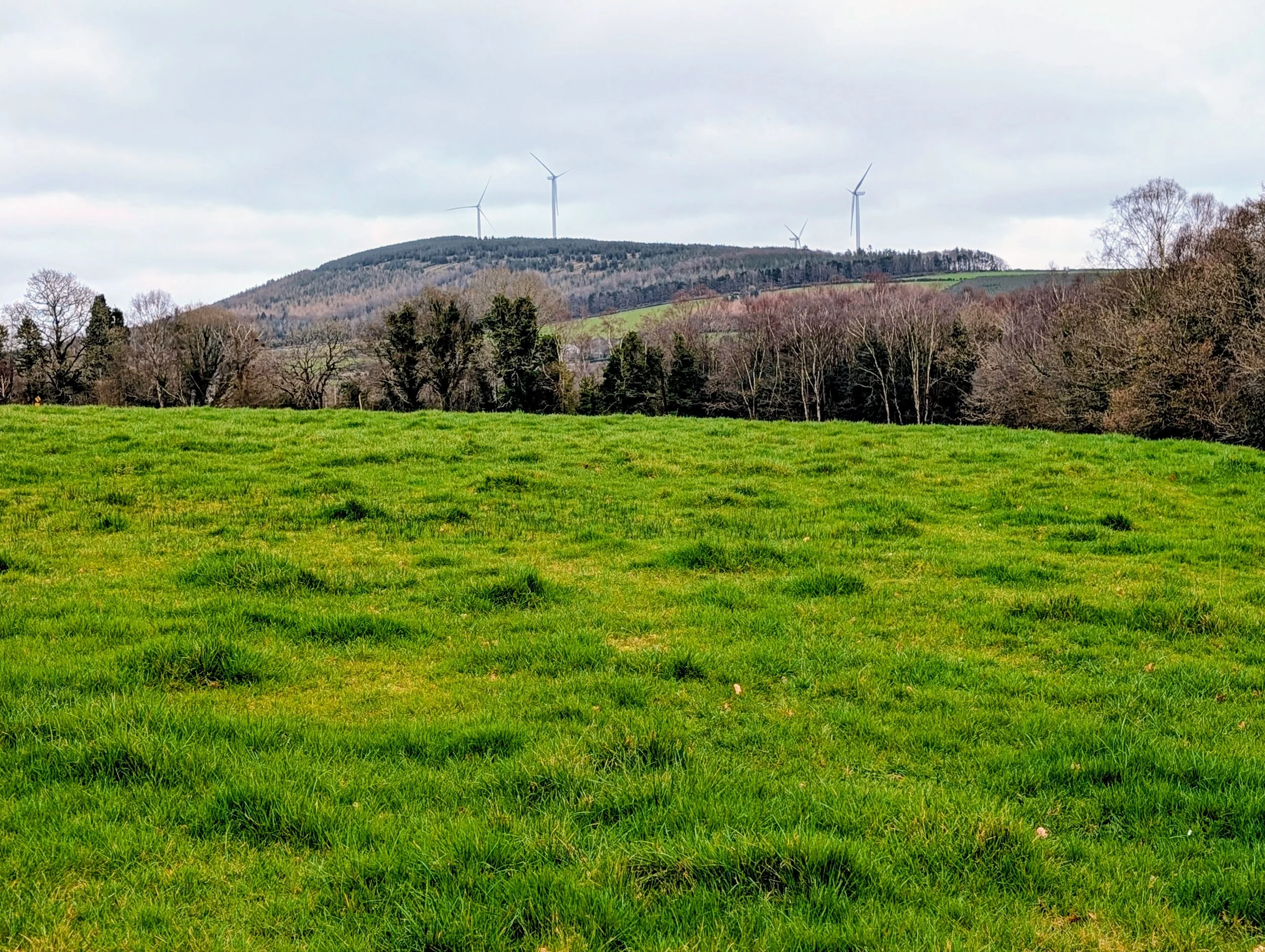 Green grassy field with trees in the background, hills and wind turbines under a cloudy sky.