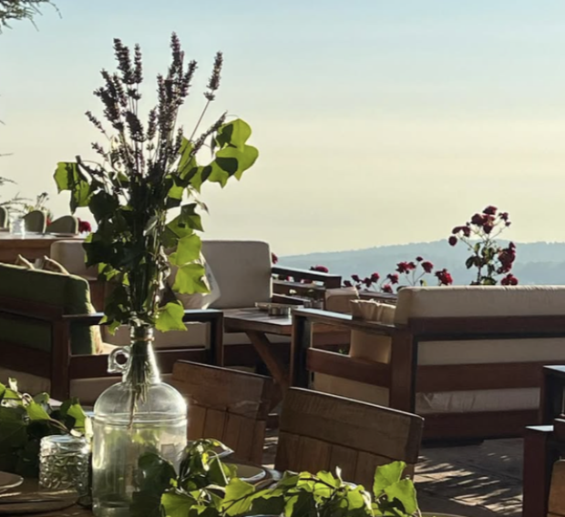 Outdoor patio with wooden chairs and sofas, decorated with green plants and flowers, overlooking a scenic landscape at sunset.