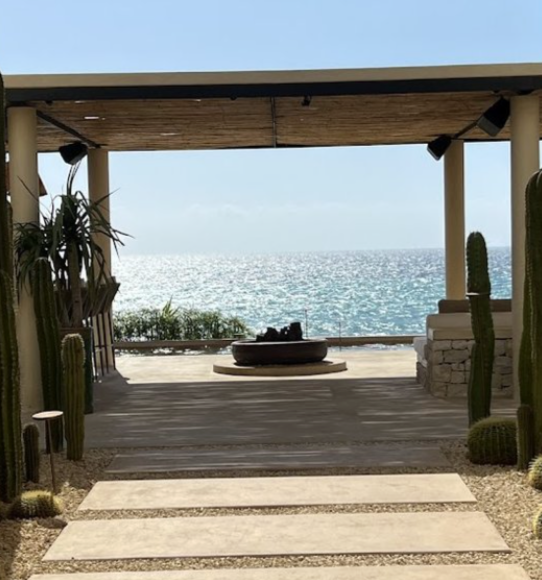 A seaside outdoor patio with a view of the ocean, featuring cacti, potted plants, a fire pit, and lounge seating under a wooden roof