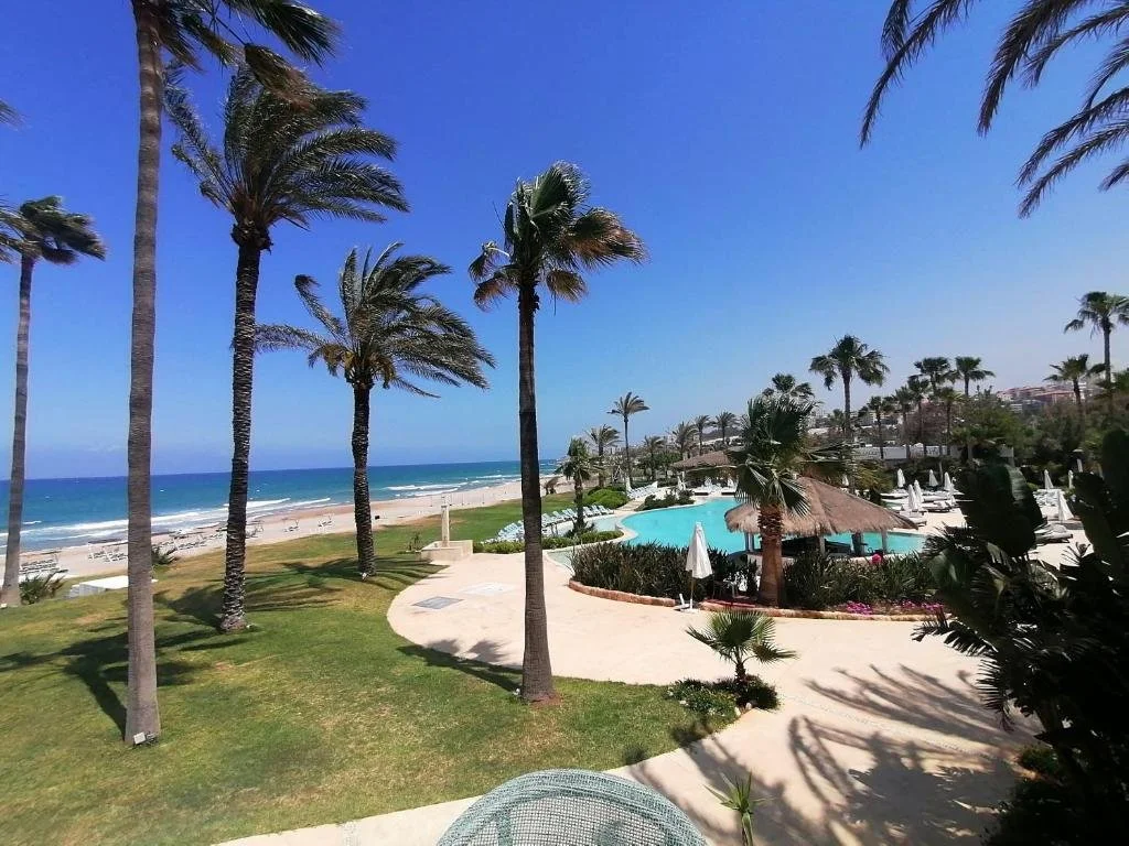Beach resort with palm trees, a swimming pool, lounge chairs, umbrellas, and ocean view under a blue sky.