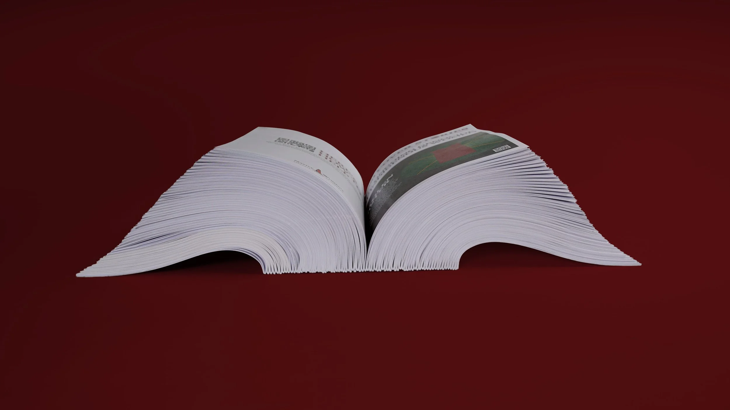 MMIW_BOOK_03_RED.jpg