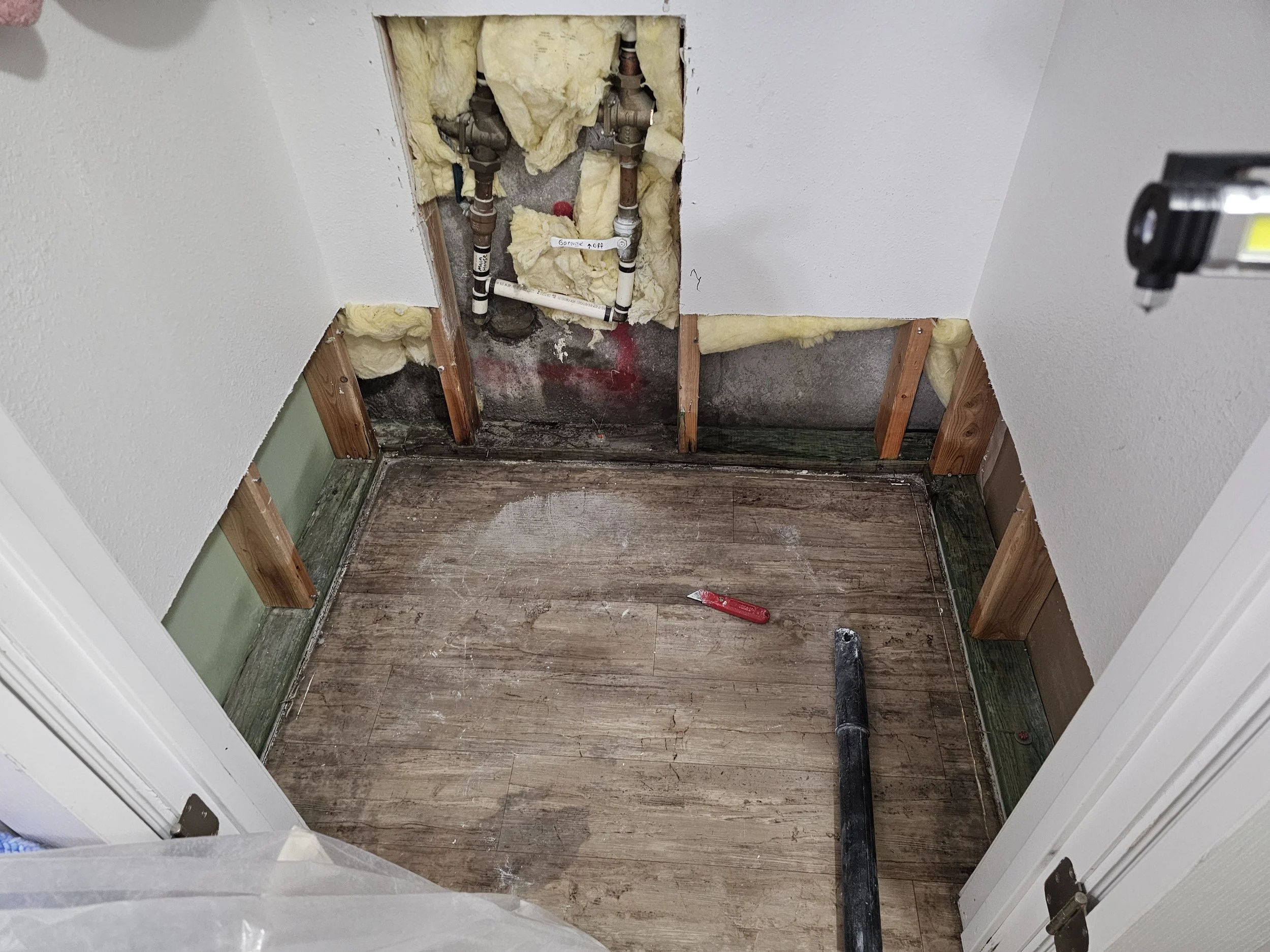 Mold Remediation