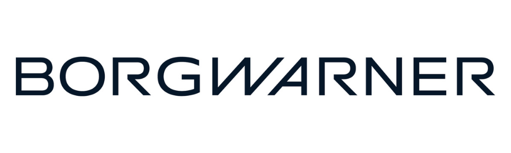 Endurance Carbide partner -Black text on a white background reading 'BORGWARNER'