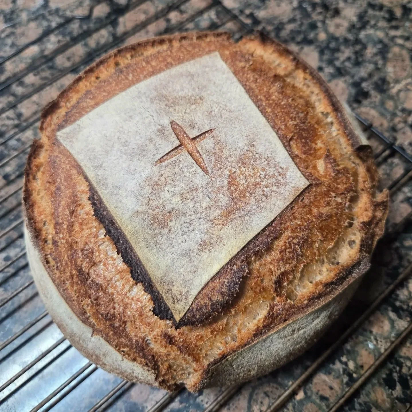 Organic 100% Whole Wheat