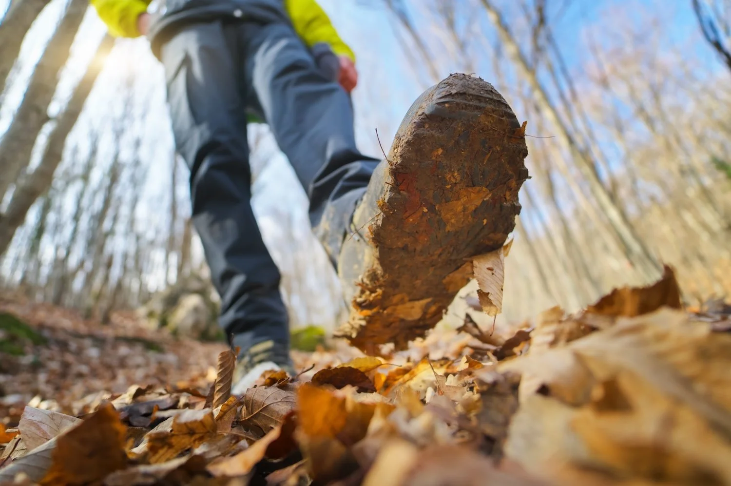 Close-up of hiking boots stepping through fallen autumn leaves on a Muskoka forest trail