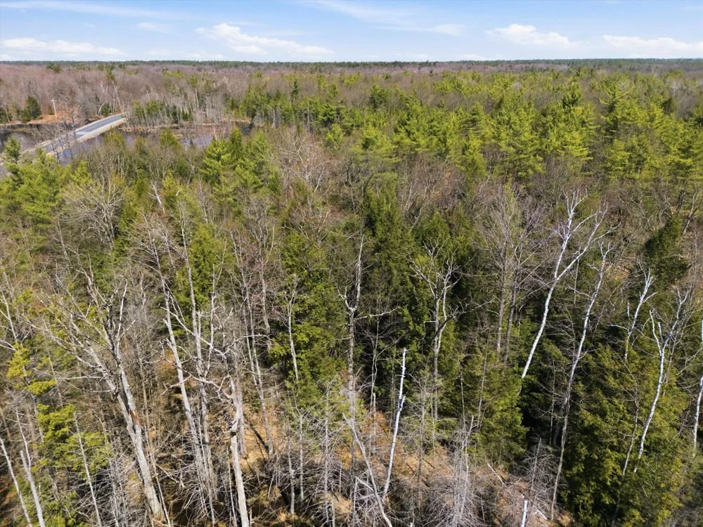 1673 Muskoka Road 38. Muskoka Lakes. ON 
