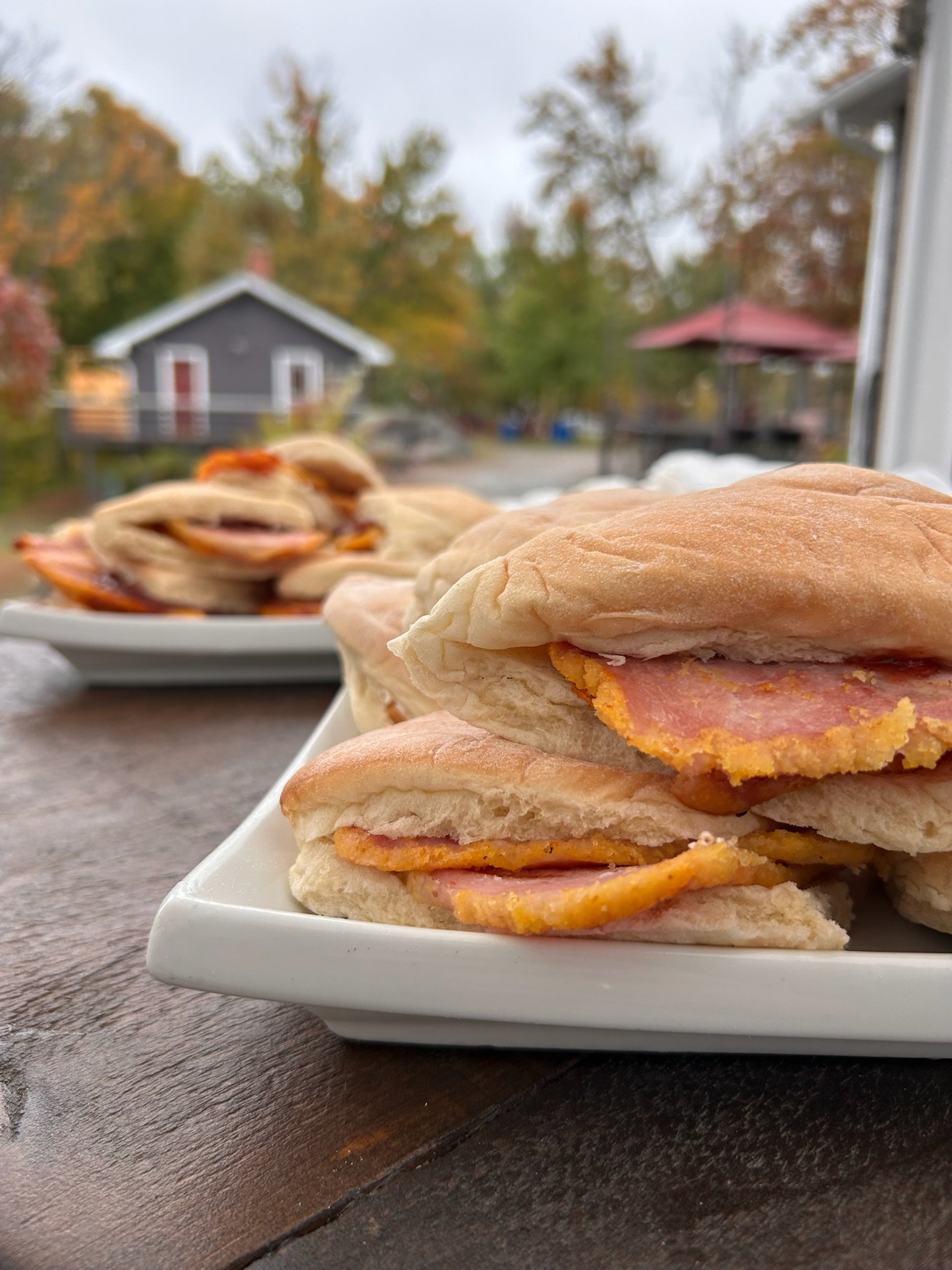 The Muskoka Harvest Scone