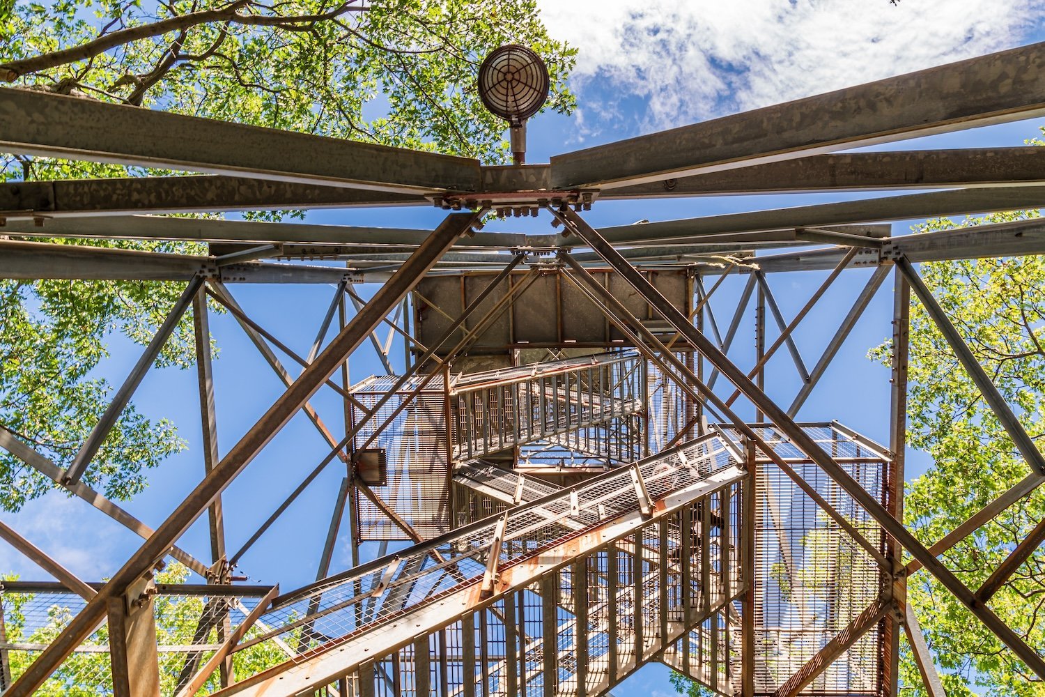 Looking up through the steel framework and spiral staircase of the Dorset Lookout Tower, surrounded by green trees against a blue sky