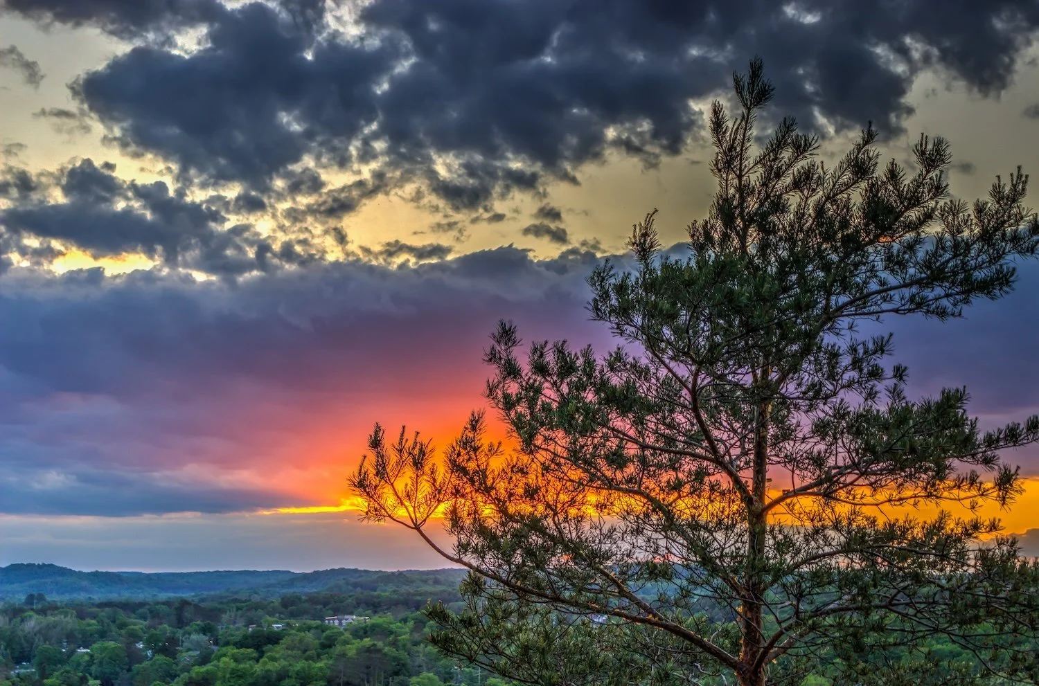 Dramatic sunset sky over Huntsville viewed from Lions Lookout, with a pine tree silhouetted against vibrant orange and purple clouds