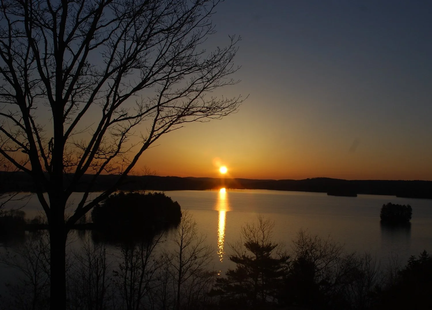Golden sunset reflecting on a calm Muskoka lake, silhouetted trees framing the horizon