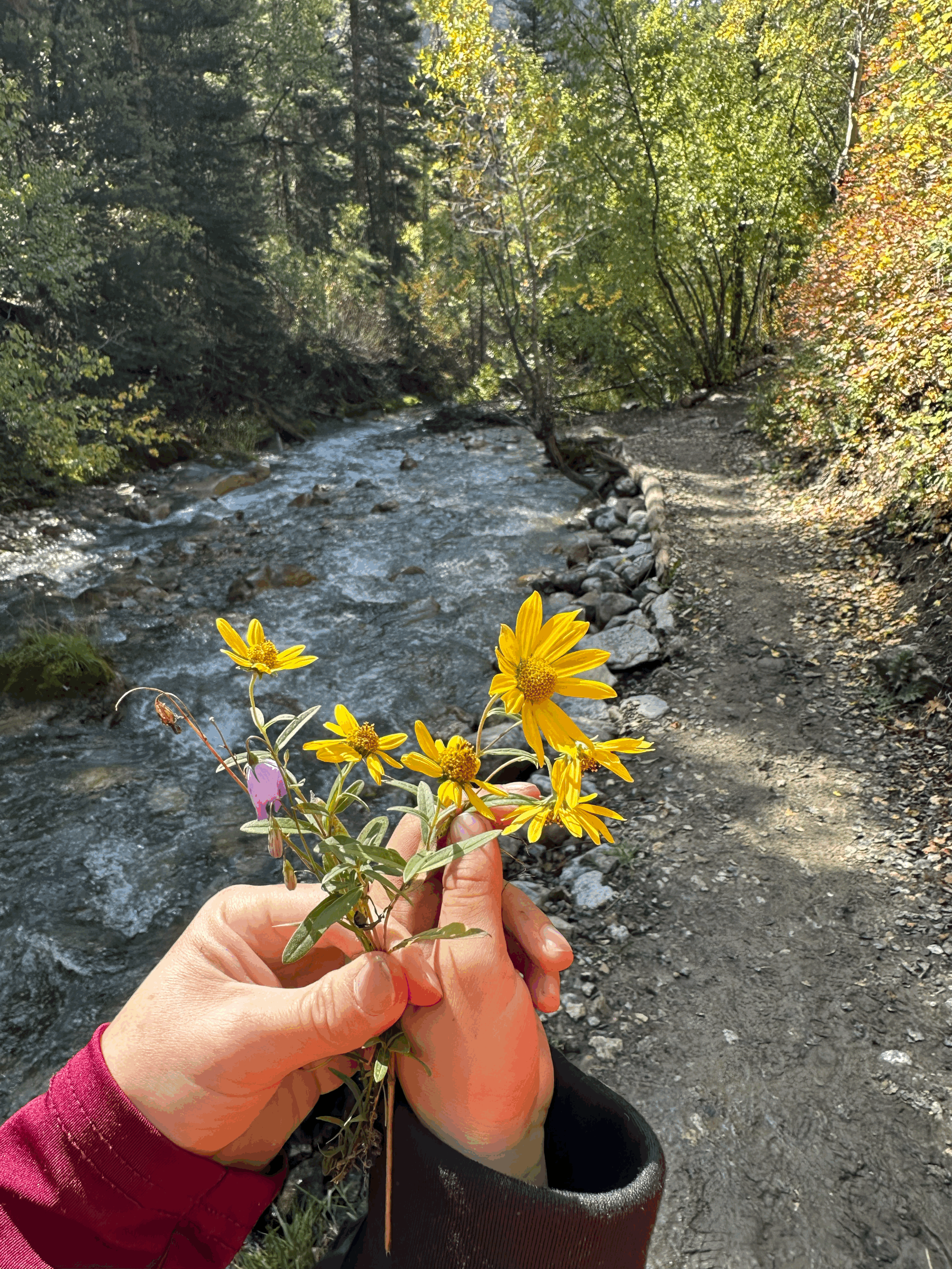 What I've Learned From Being Forced to Slow Down