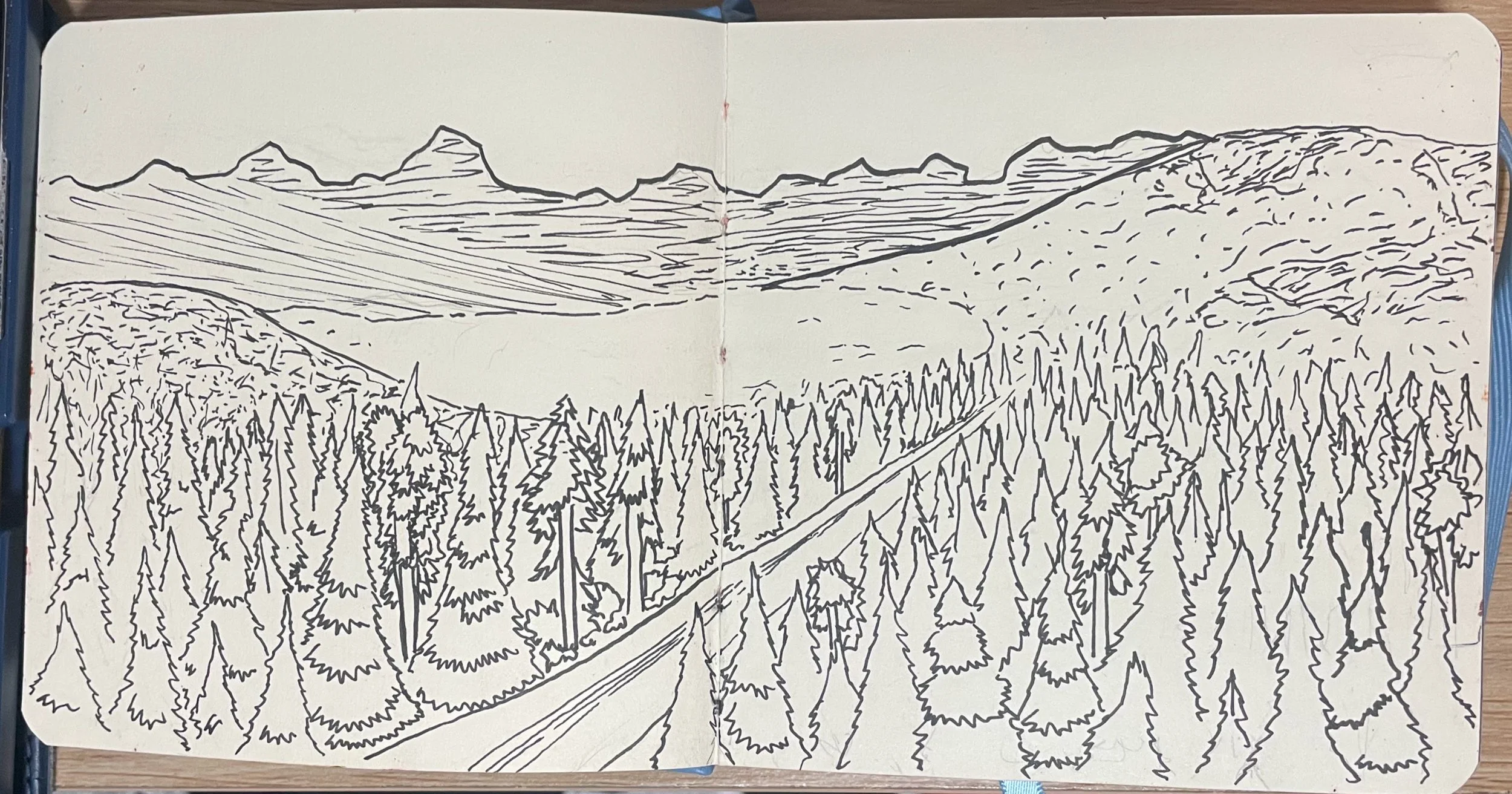 An ink landscape in a sketchbook.