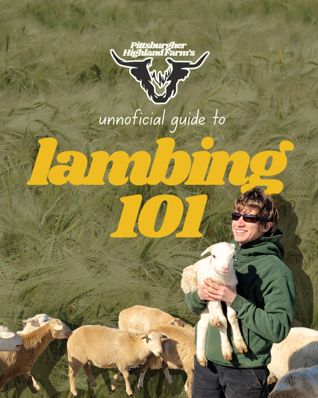 PHF Instagram post cover