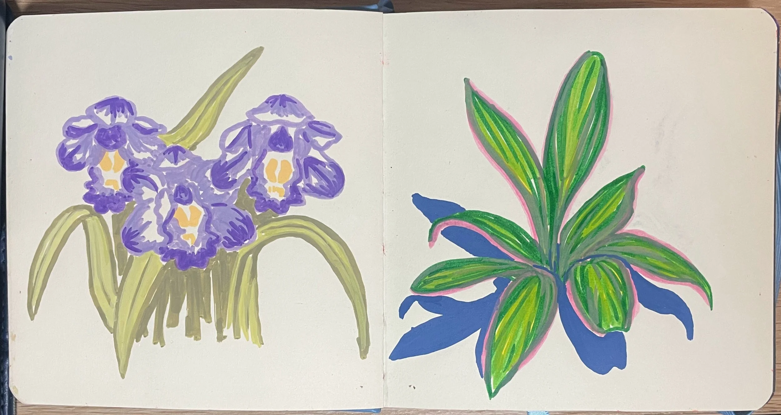 Acrylic studies in a sketchbook.