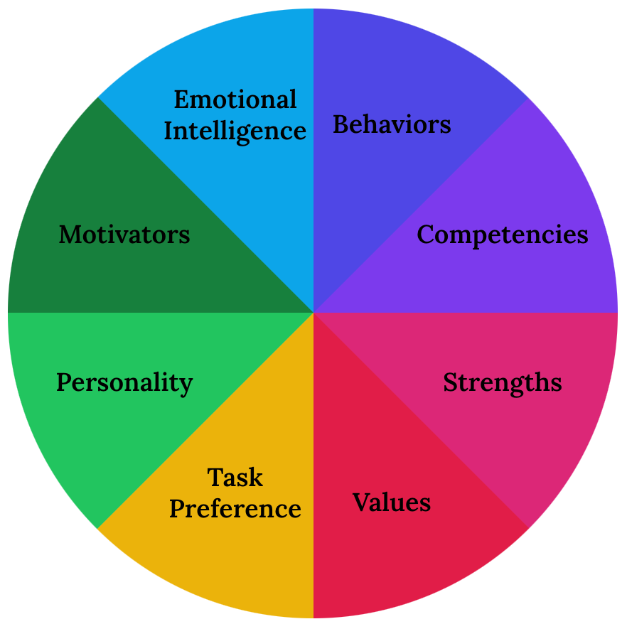 Circular wheel with 8 pie wedge shapes in rainbow colors reading, Emotional Intelligence, Behaviors, Competencies, Strengths, Values, Task Preference, Personality, Motivators