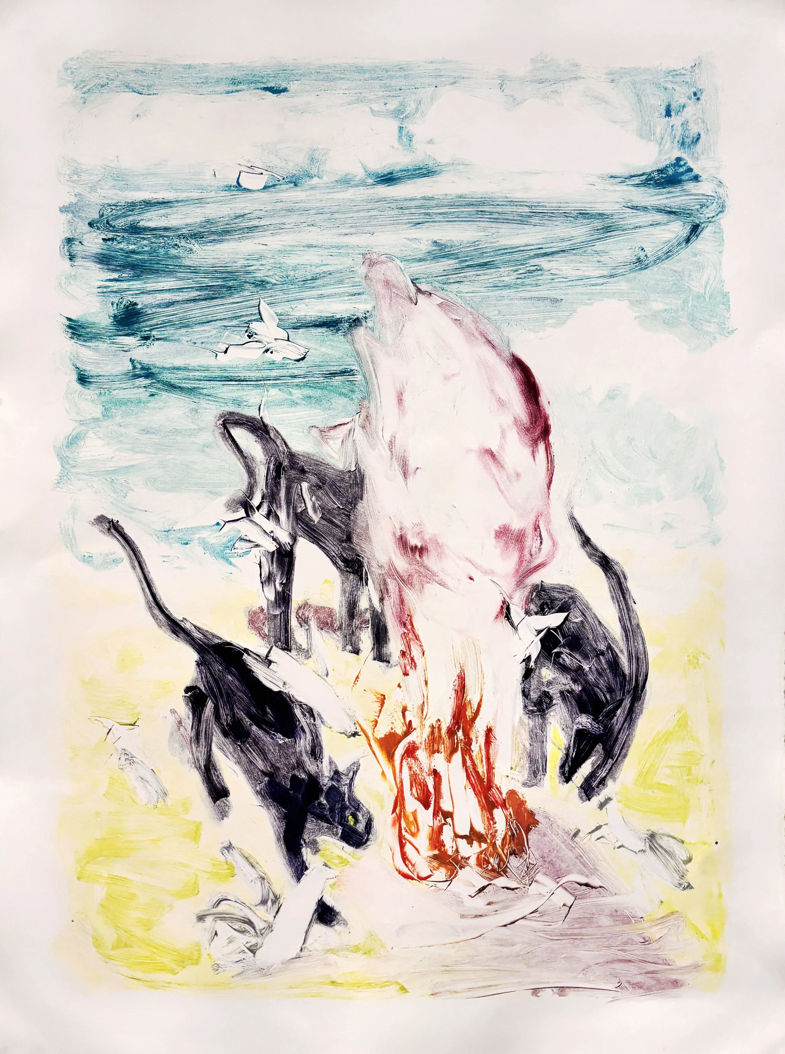 Notes on the Image as Phenomena