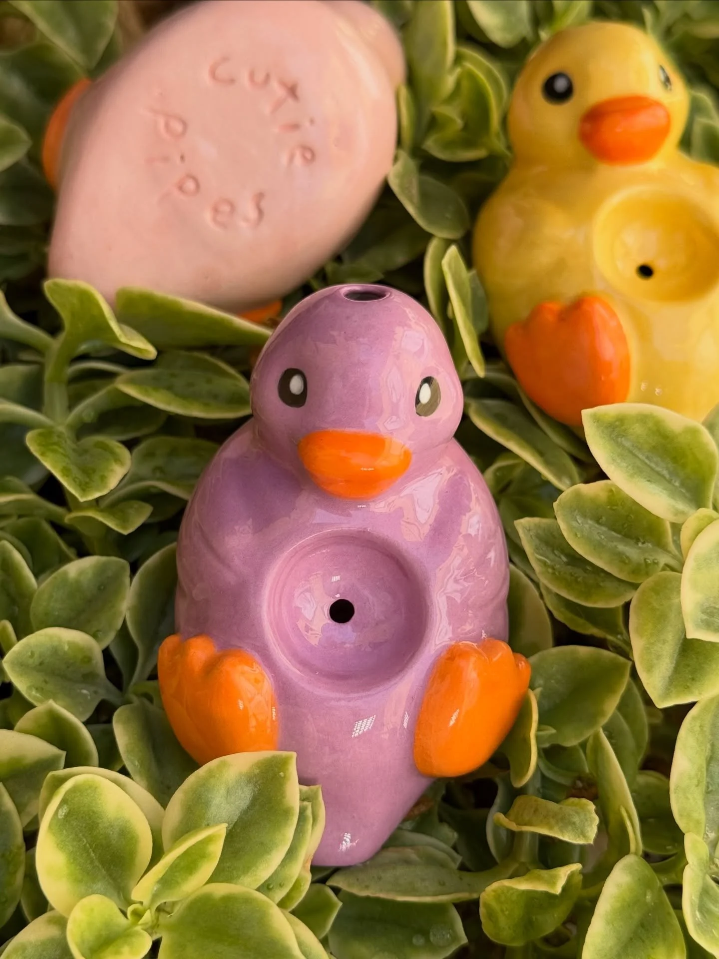 Cutie Pipes Restock 💚
These Cuties are live at Cutie-pipes.com 💨

Sign up for our email alerts! Be the first to find out about upcoming drops, and always watch our stories to see exactly what we are working on next.
.
.
.
#handmade #ceramics #cutie