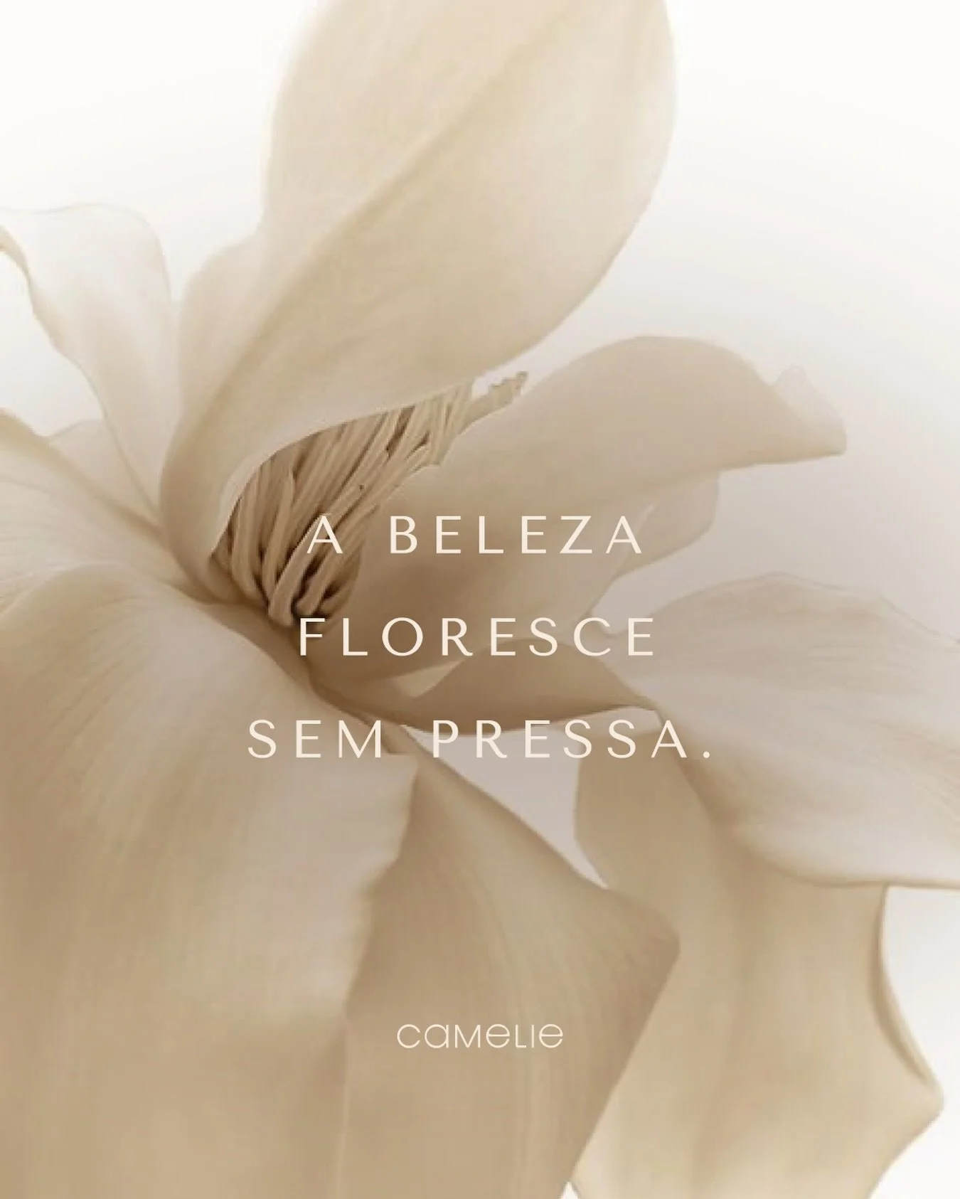 Finalizamos mais uma semana de atendimentos por aqui.
E assim como a pele precisa de tempo para se recuperar, o corpo tamb&eacute;m pede pausa. O fim de semana chega como esse respiro.
Descanse. A beleza floresce sem pressa.

Camelie 

#dermatosp #au
