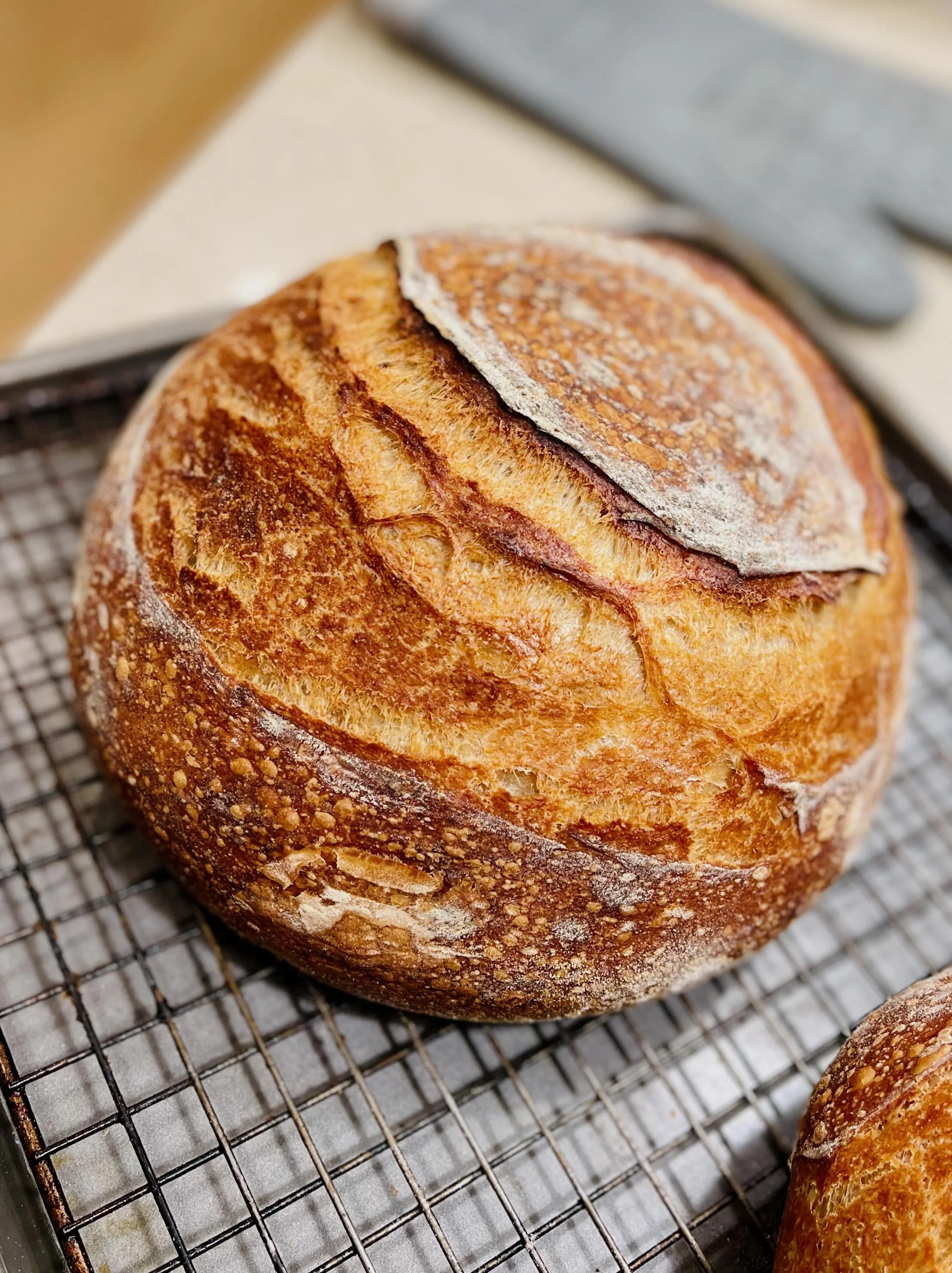 Fresh baked sour dough country loaf - home cooking and food photography by Matt Kollander