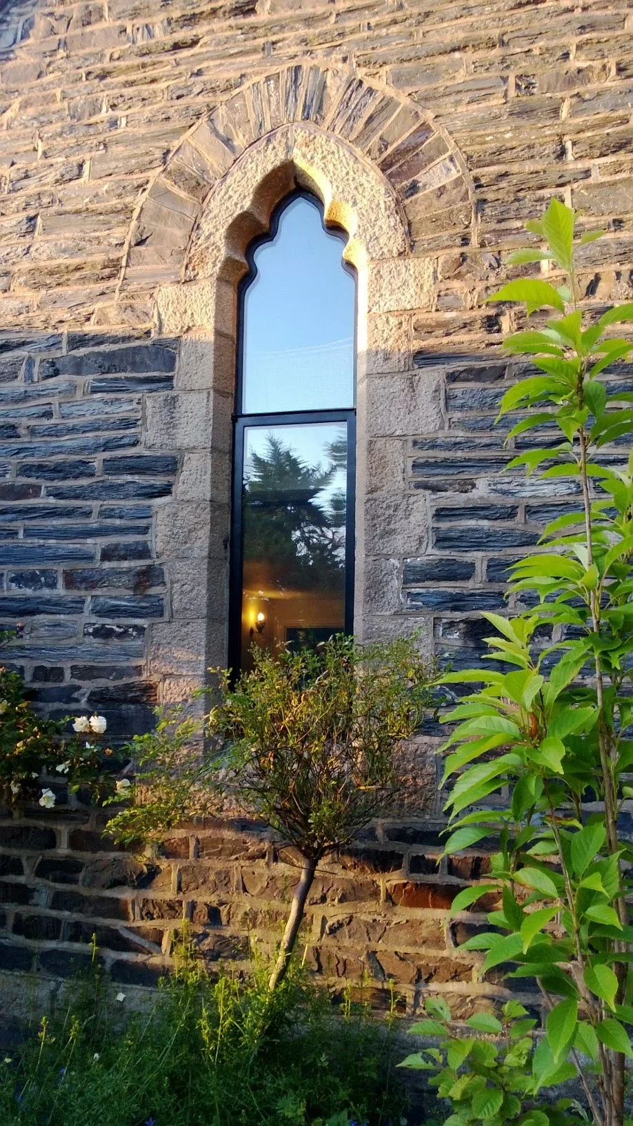 A narrow, arched window with a decorative outline embedded in a rustic stone wall, with green leafy plants and a small flowering bush below the window, and the reflection of trees and sky in the glass.
