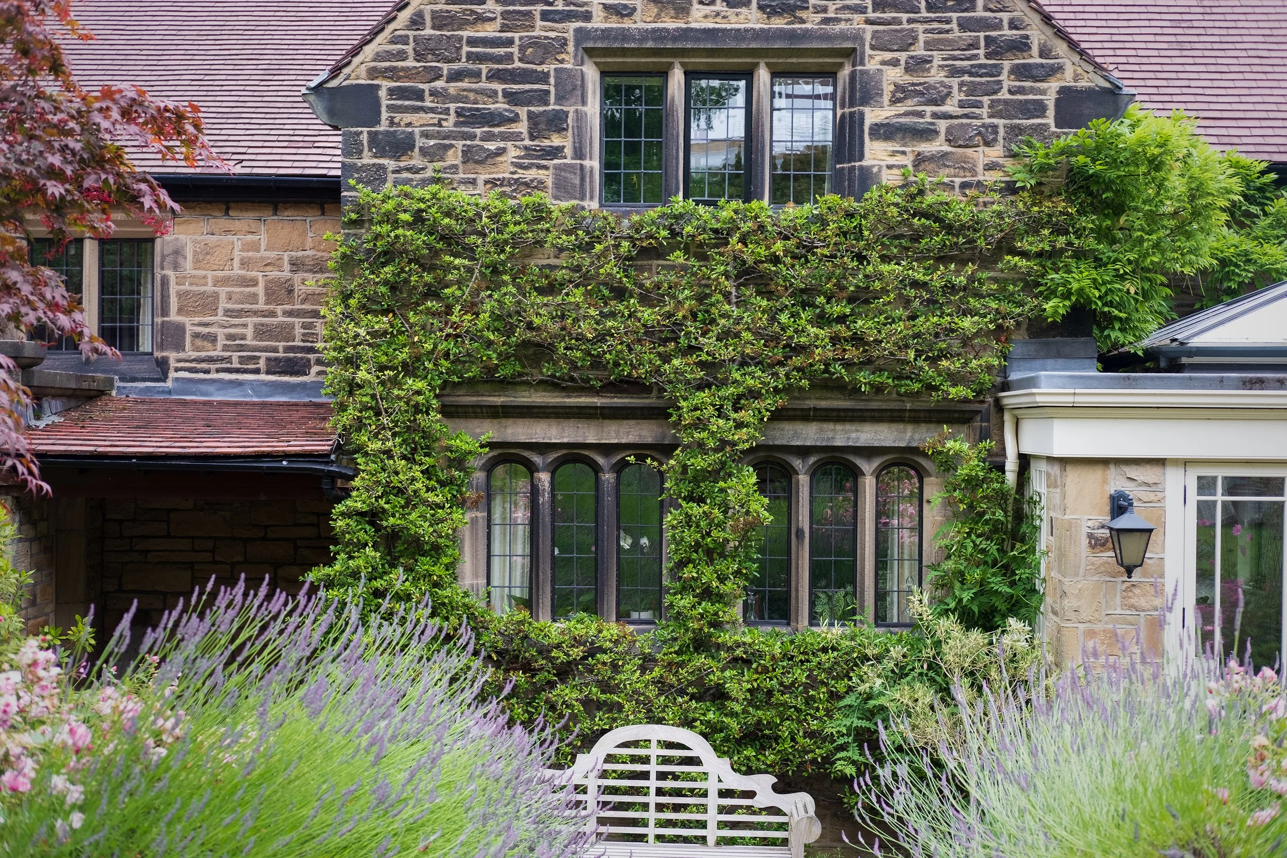 A stone house with large windows, ivy climbing on the facade, and a garden with lavender and purple flowers in the foreground.
