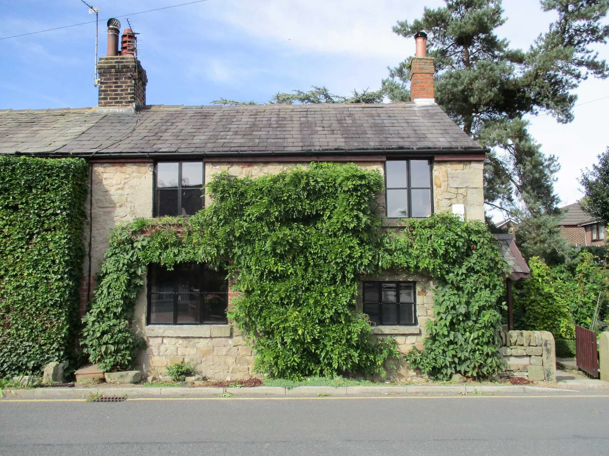 A stone house with two chimney stacks, large front windows, and lush green climbing plants partially covering the lower part of the house. The house is situated next to a paved road.