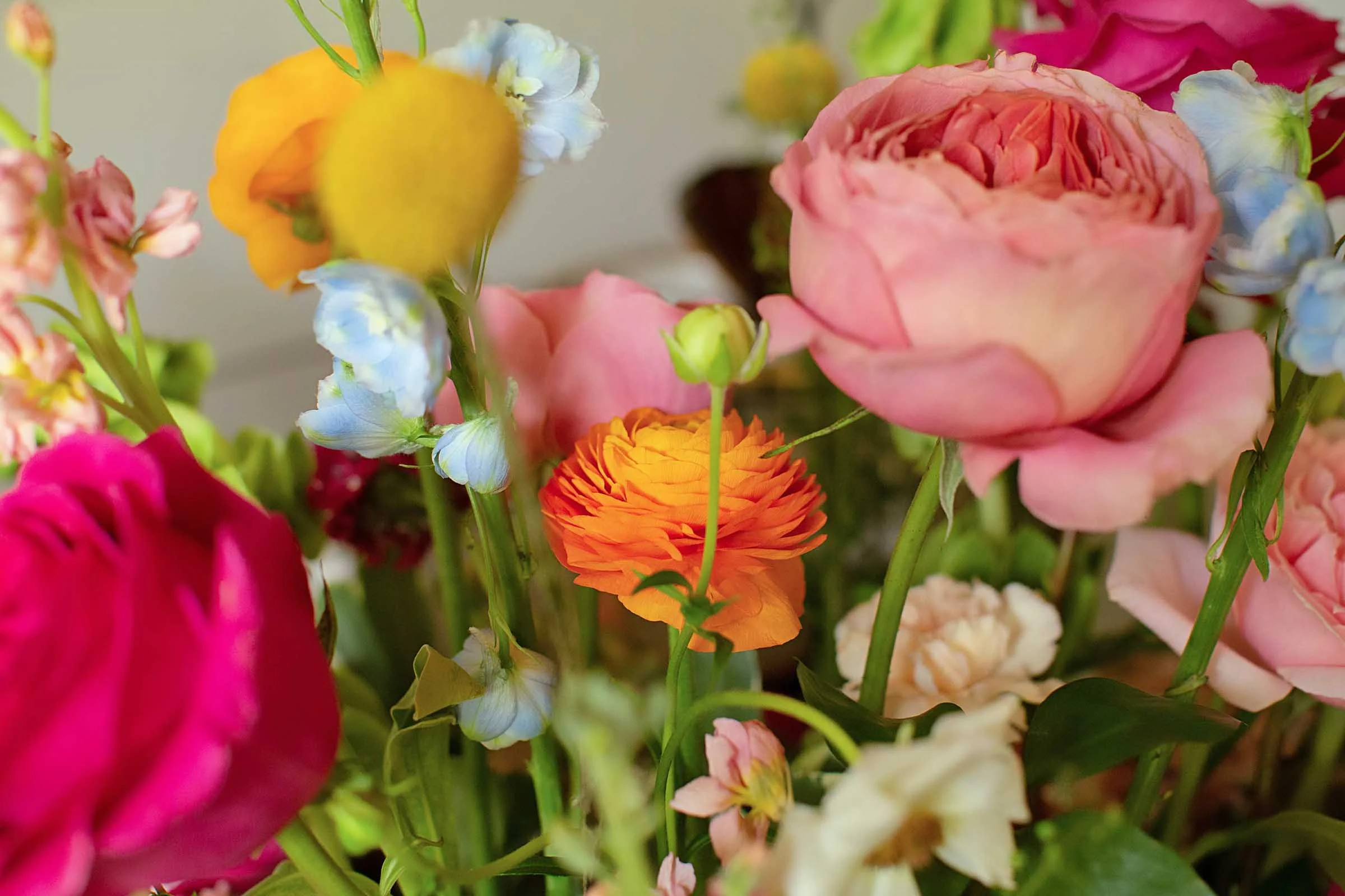 Colorful fresh blooms in central Louisiana.