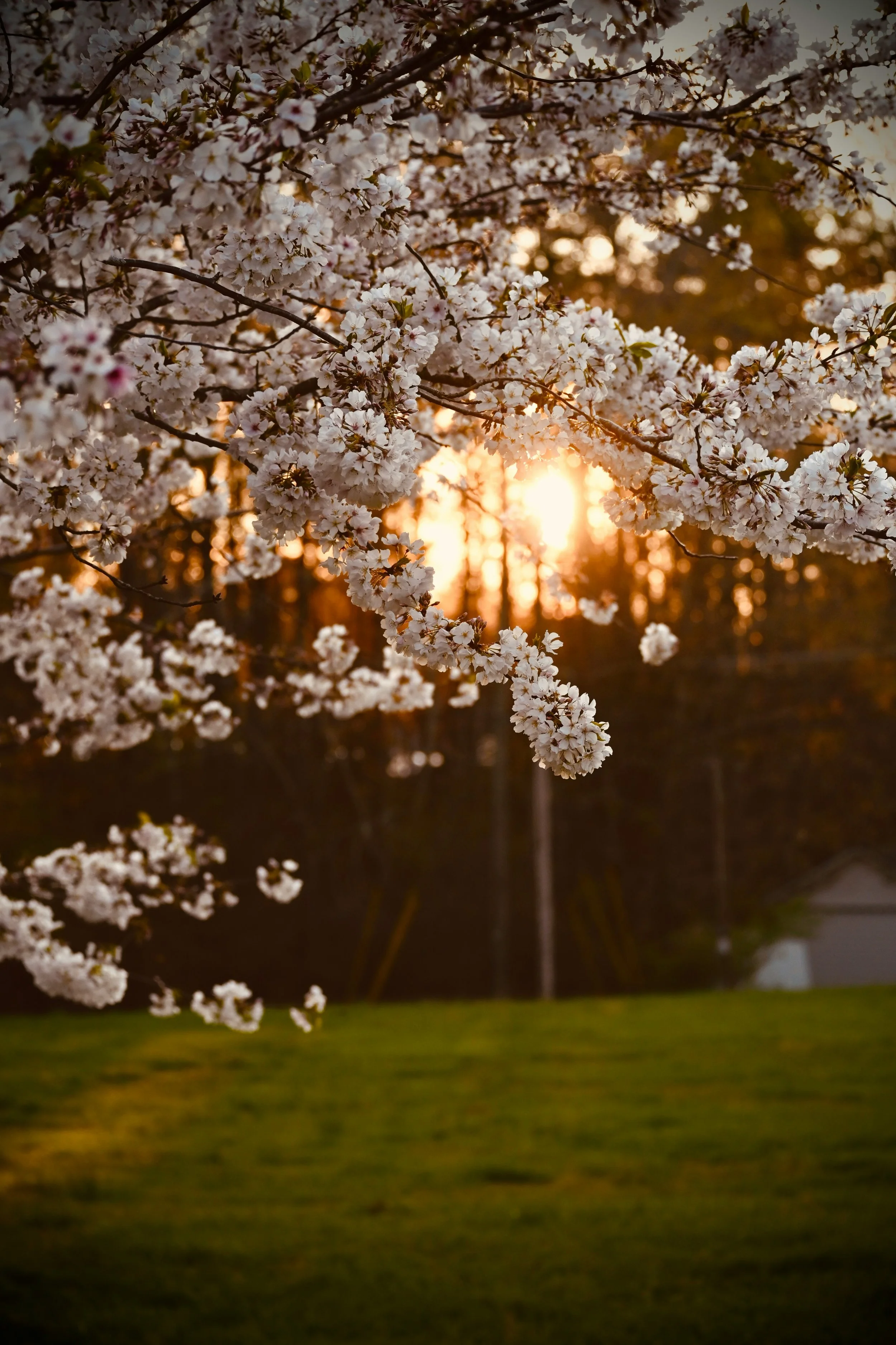 Vrijdag  17 april  Avond