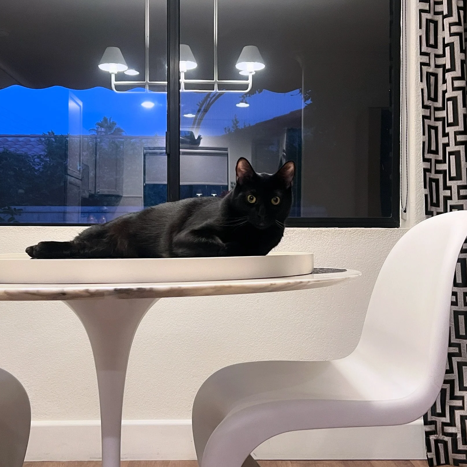 A black cat lying on a tray on a white dining table, with a large window in the background showing an evening sky and patio area, and black and white patterned curtains on the right side.