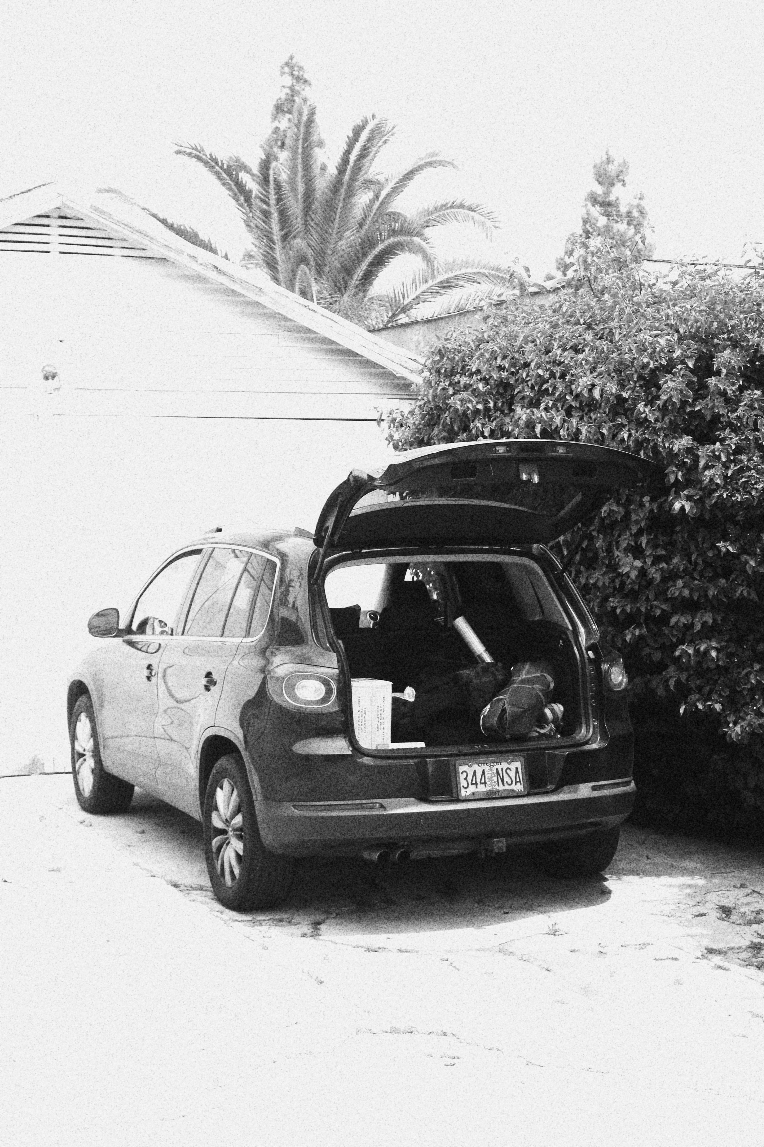 A black car with an open trunk parked on a driveway near a leafy bush and a house with a roof, with tall palm trees in the background.