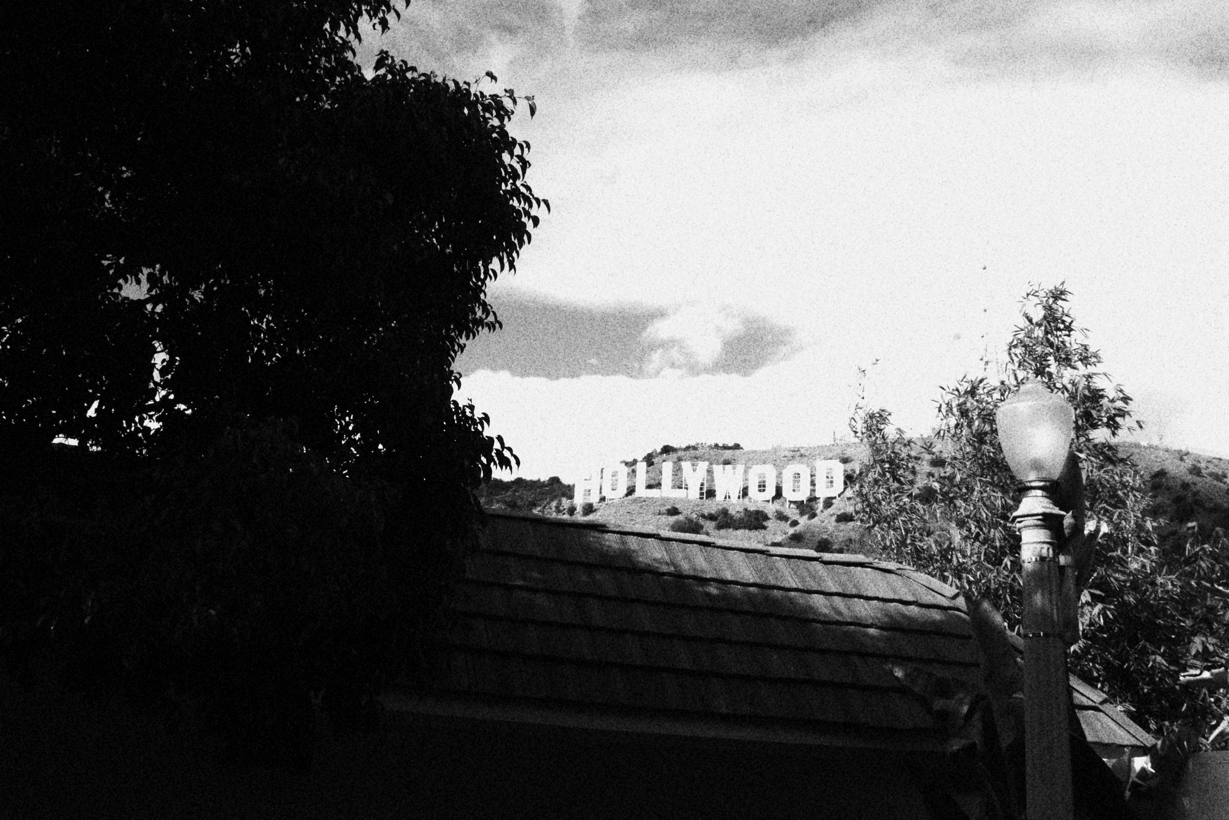 The Hollywood sign on a hilltop seen through trees and a street lamp in the foreground, in black and white.