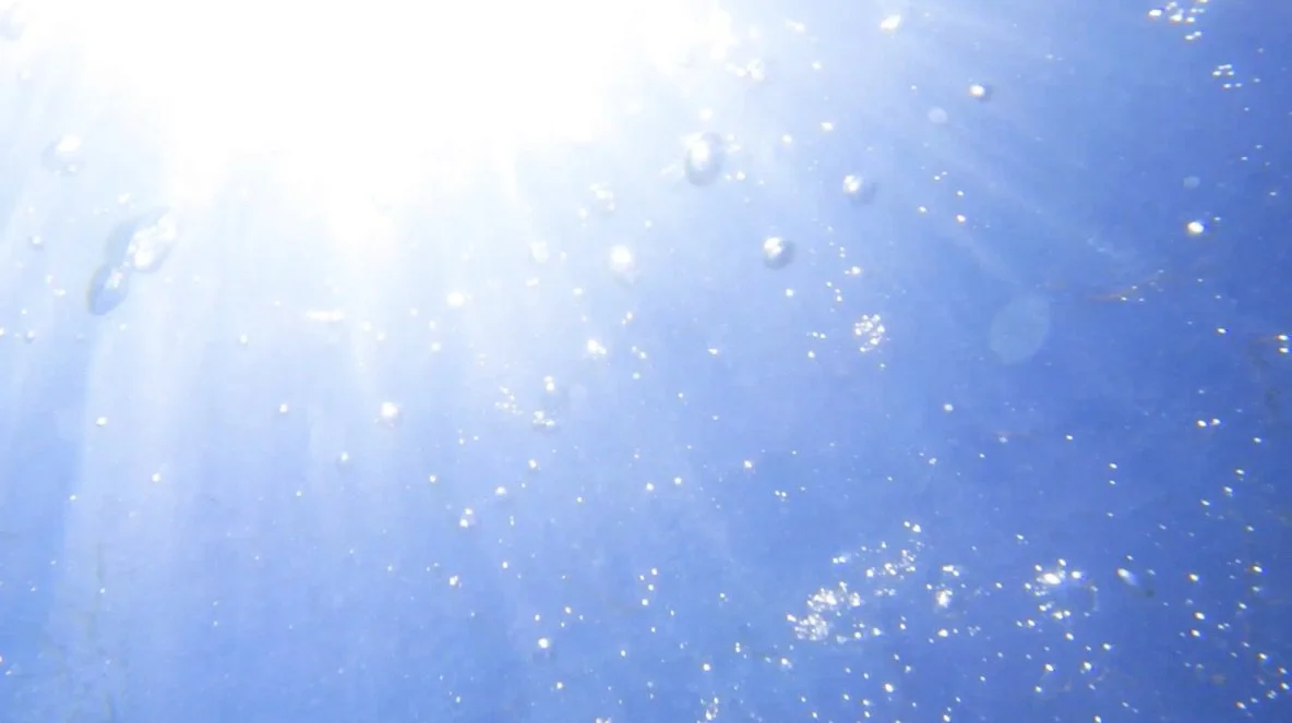 Lido di Venezia | Estate 2024