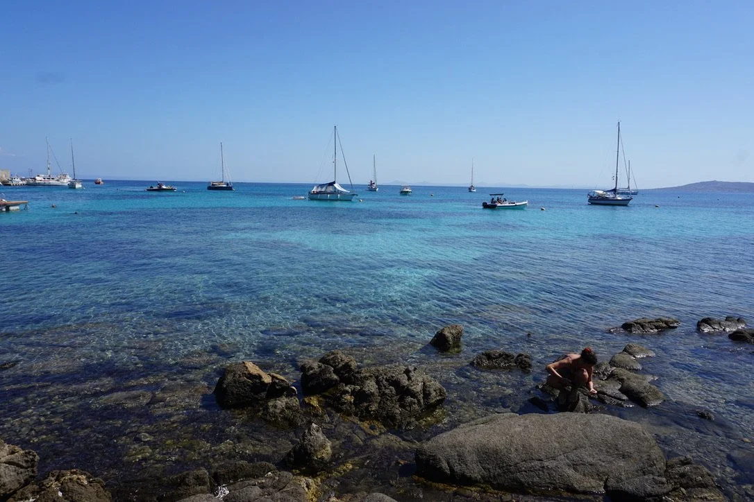 Parco Asinara  | Sardegna 2024