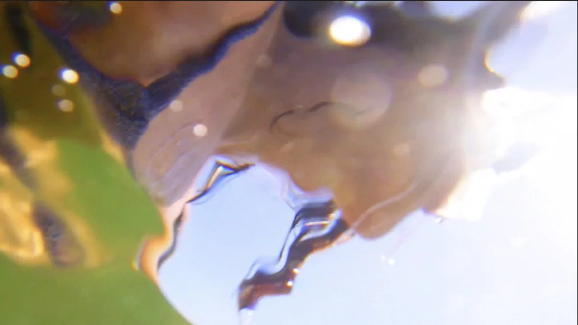 Lido di Venezia | Estate 2024