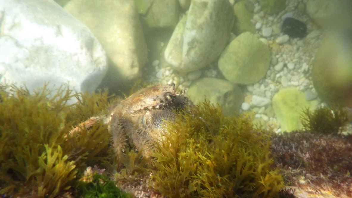 Conero Regional Park Marche | October 2023