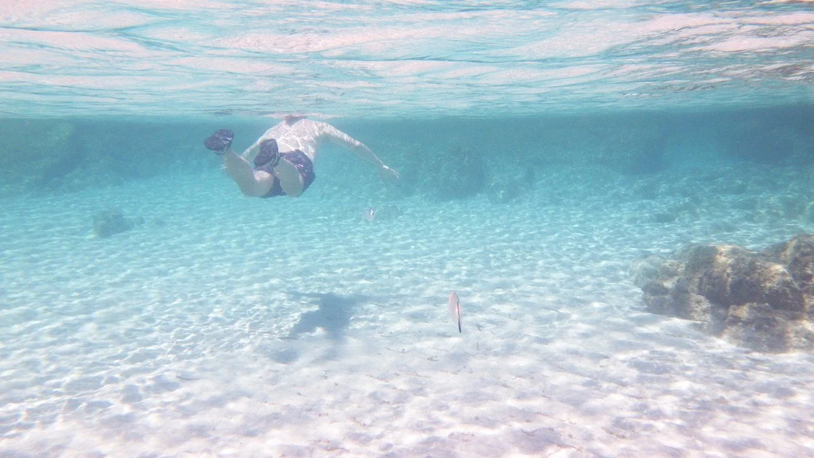 Sabina, Parco Asinara | Sardegna 2024