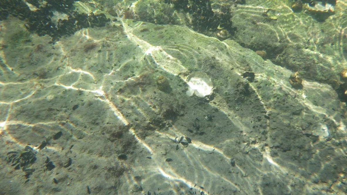 Lido di Venezia | Estate 2024