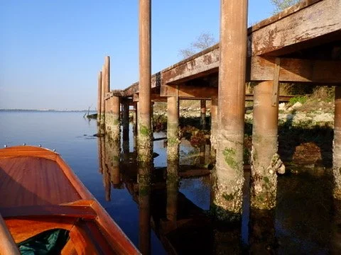 Isola Campalto, Laguna di Venezia  | March 2026