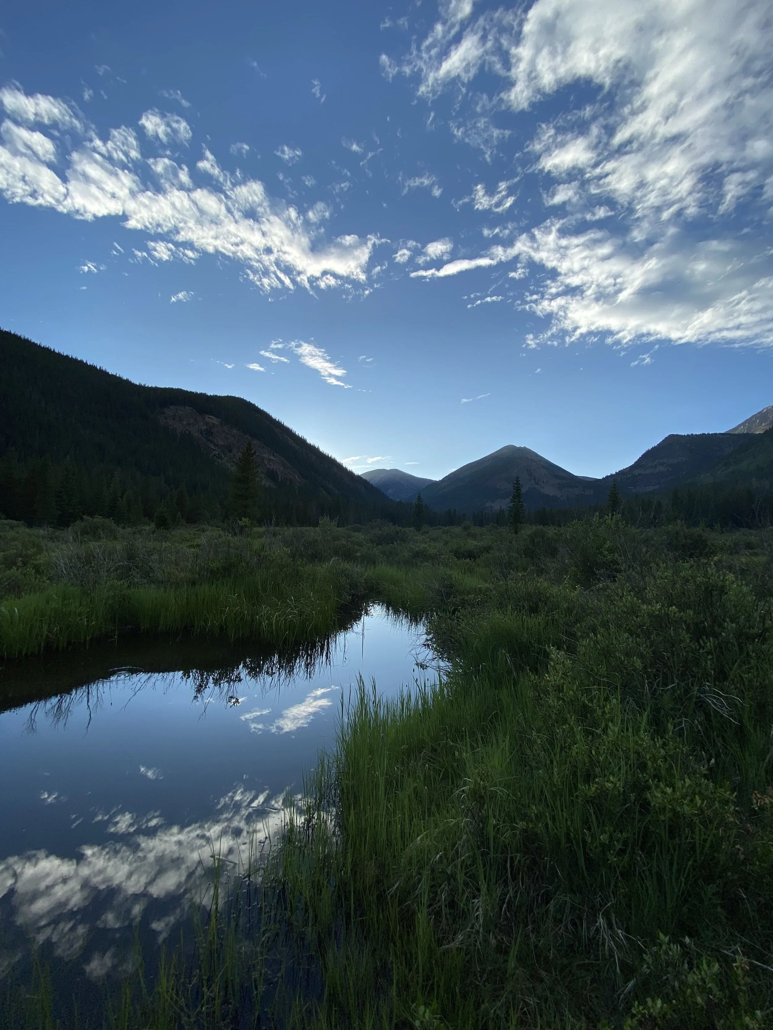 Mountain landscape with a blue sky, clouds, green hills, dense forest, and a reflective river.