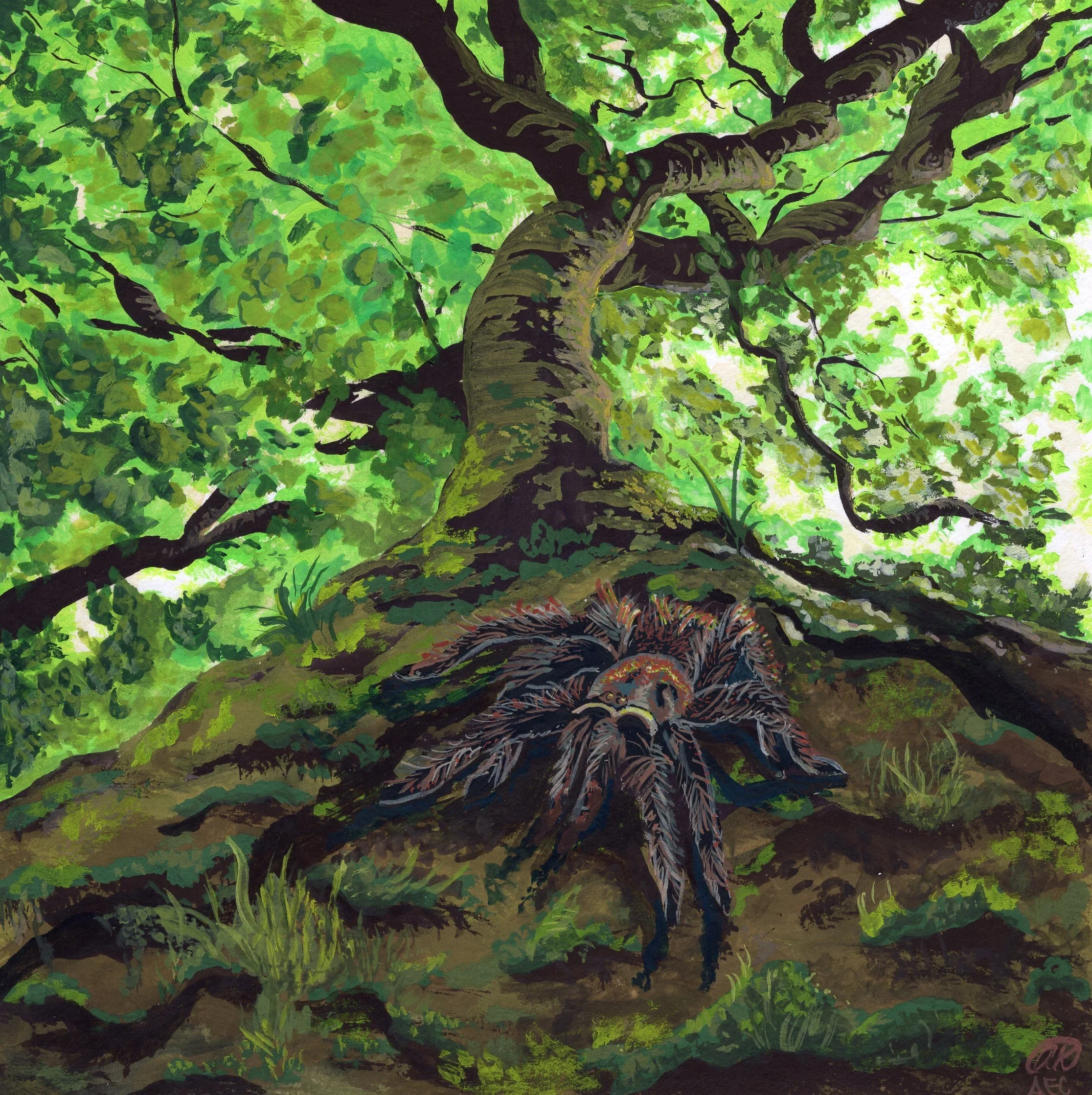 A forest scene with a large, old tree with a thick trunk and green leaves. A tarantula is on the ground near the tree's roots, blending into the earth and foliage.