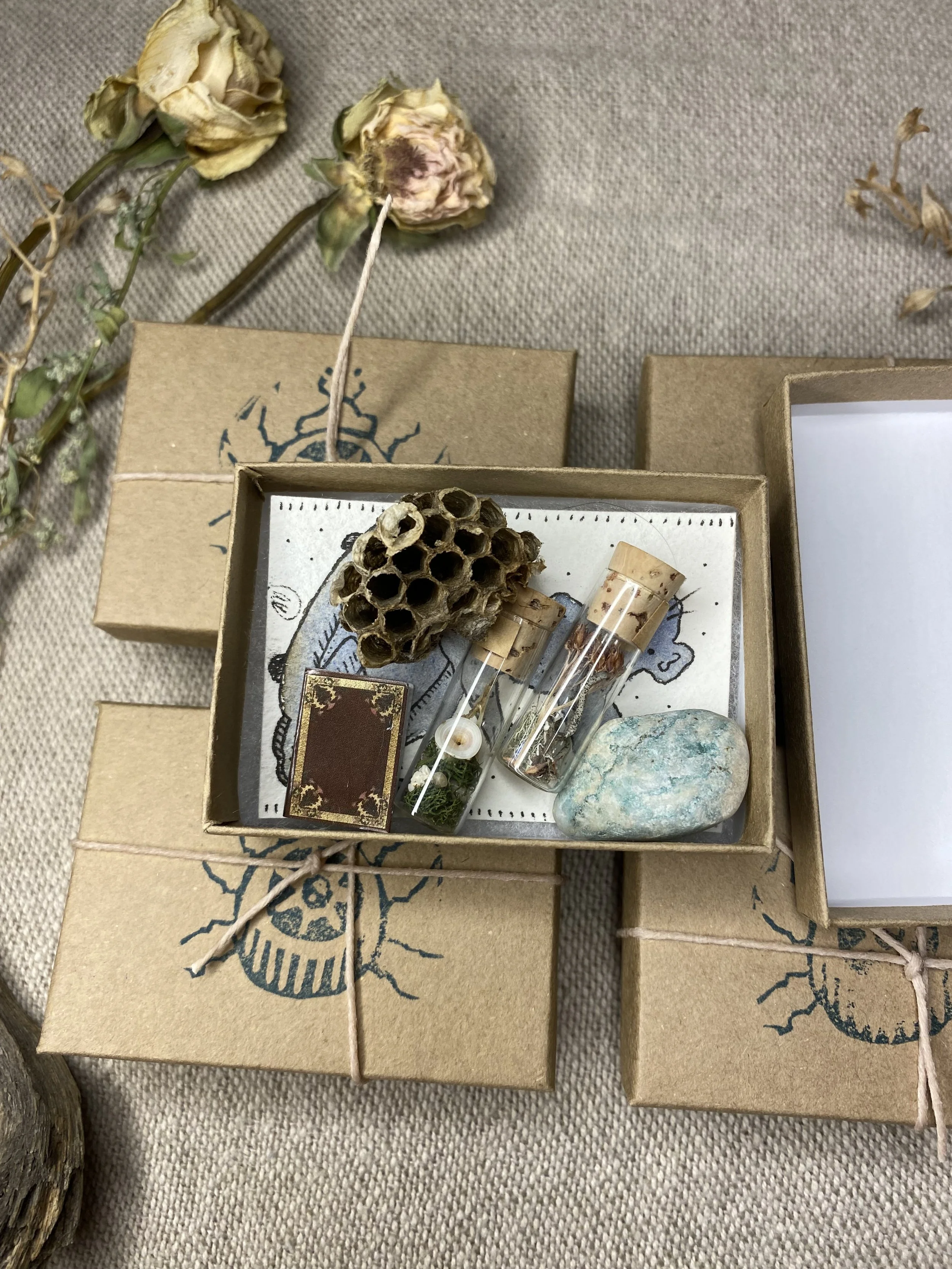 Mystery box ex 1.jpg