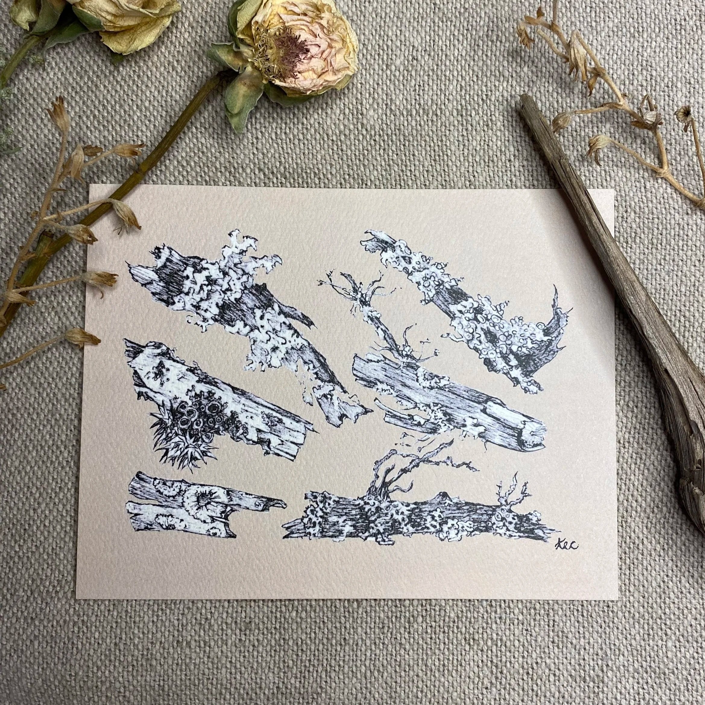 Lichen+Study+Print+listing.jpg