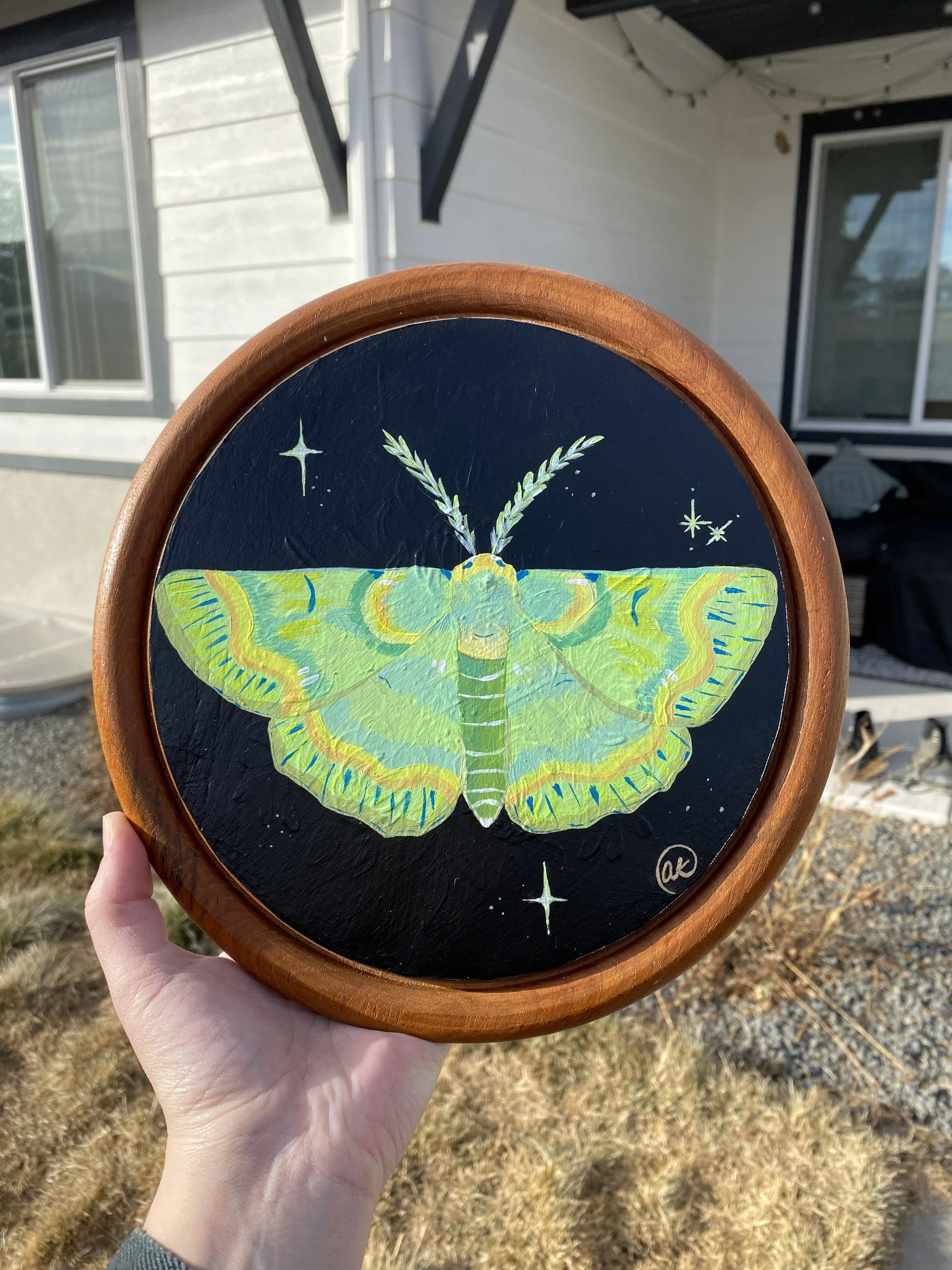 Circular wooden framed art featuring a colorful moth with green, yellow, blue, and purple hues against a black background, with stars and sparkles around it.