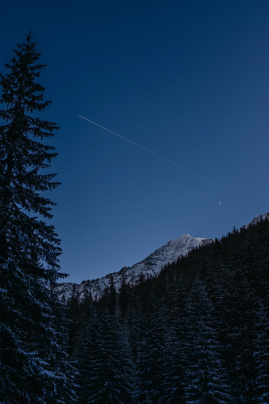 Vianoce2021-5872 - kópia.jpg