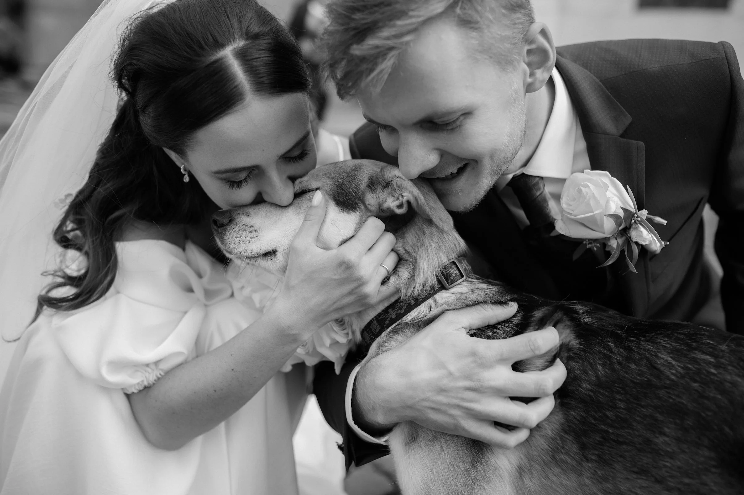 svadobny fotograf pes