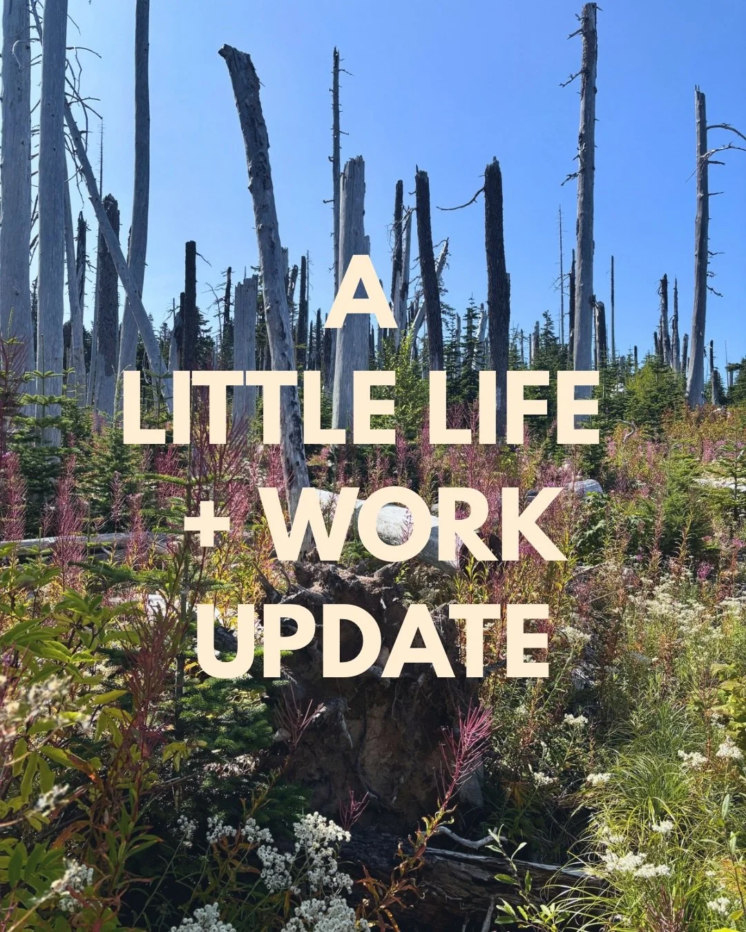 I&rsquo;m really excited to be joining the team at Laurelhurst Chiropractic Monday&ndash;Thursday, while continuing to see my Jade patients on Fridays.

It feels a little bittersweet, but mostly I&rsquo;m grateful that I get to keep doing work I love