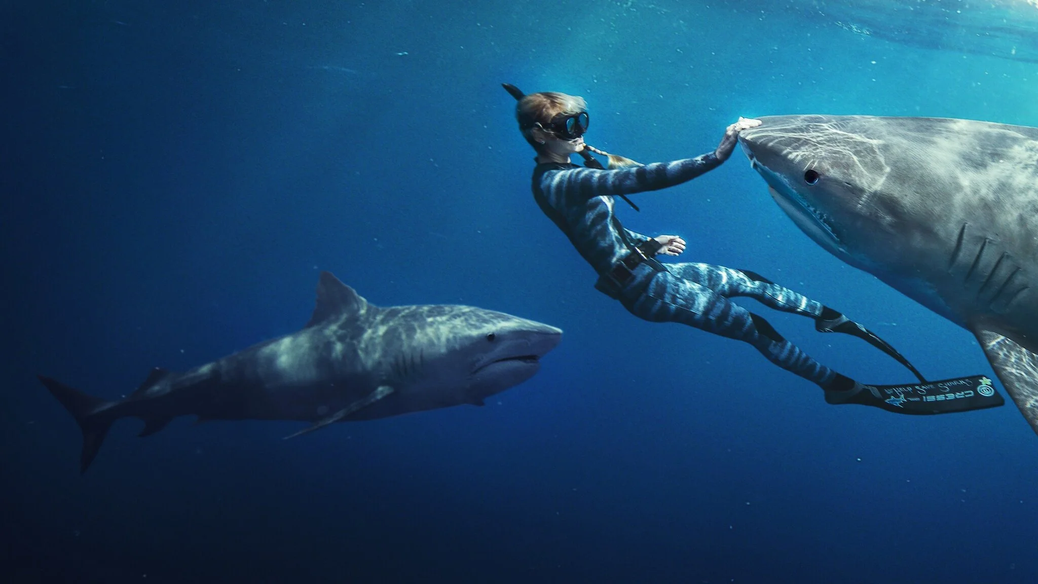SHARK WHISPERER | STORY PRODUCER