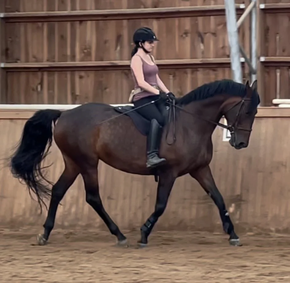 A woman riding a brown horse inside an indoor riding arena with wooden walls, wearing a helmet and casual riding clothes.